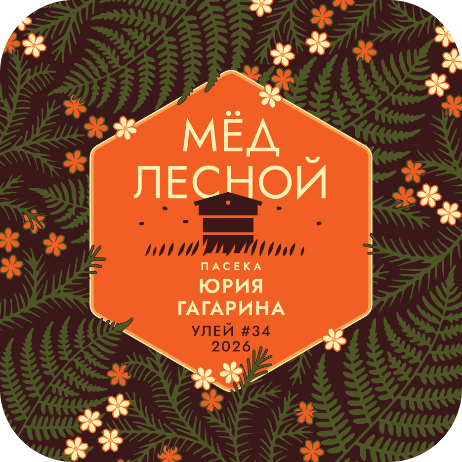 Папоротник