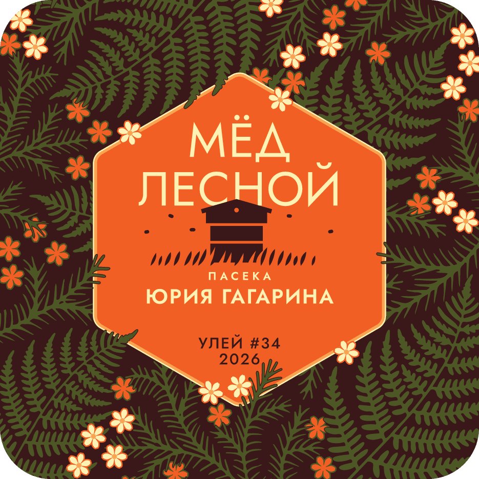 Папоротник